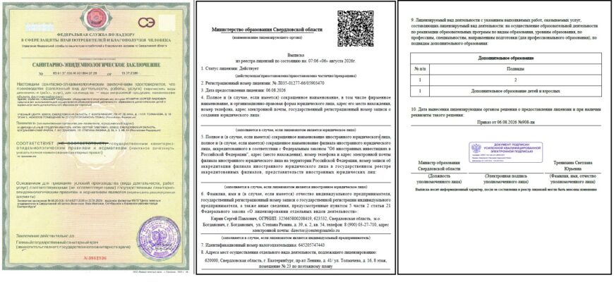 сэз и лицензия
